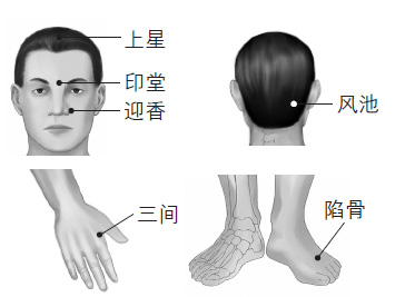 鼻塞、打鼾等鼻子問題的防治